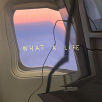 What A Life Scarlet Pleasure