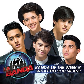 What Do You Mean? - Banda of the Week 3
