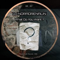 What Do You Want? DJ Noradrenalin