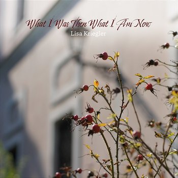 What I Was Then What I Am Now - Lisa Kriegler