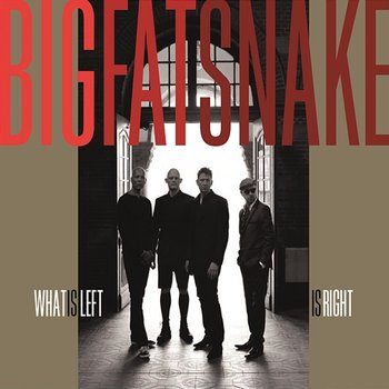 What Is Left Is Right - Big Fat Snake