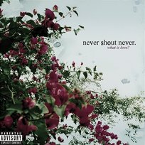 What Is Love? Never Shout Never
