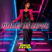 What Is Love Disco Fever
