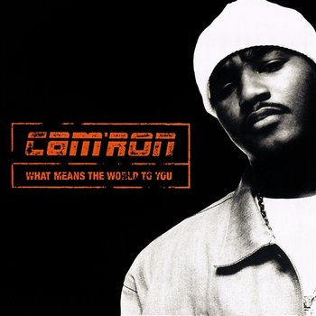 What Means The World To You - Cam'Ron