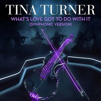 What's Love Got to Do with It Tina Turner