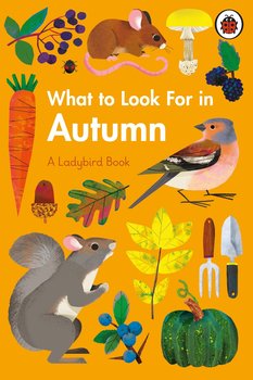 What to Look For in Autumn - Jenner Elizabeth