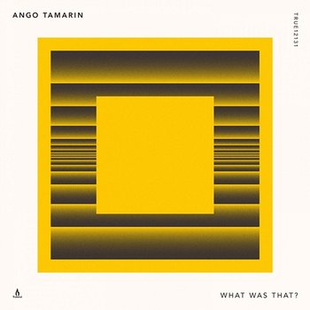 What Was That? - Ango Tamarin