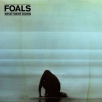 What Went Down Foals