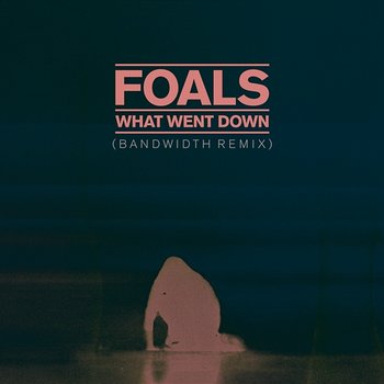 What Went Down - Foals