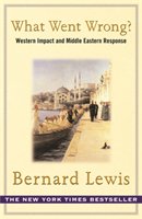 What Went Wrong? Lewis Bernard