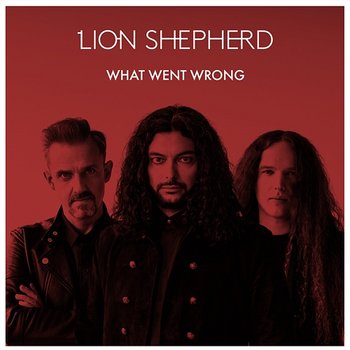 What Went Wrong - Lion Shepherd