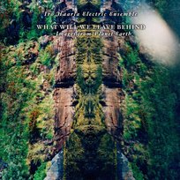 What Will We Leave Behind Haarla Iro