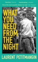 What You Need From The Night Laurent Petitmangin