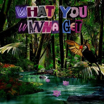 What You Wanna Get - ELYX & Chacel