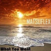 What You Want Matsuflex