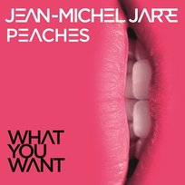 What You Want Jean-Michel Jarre & Peaches