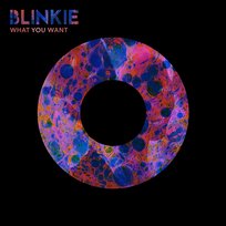 What You Want Blinkie