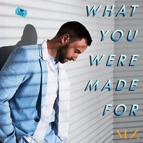 What You Were Made For Måns Zelmerlöw