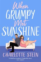 When Grumpy Met Sunshine Stein Charlotte