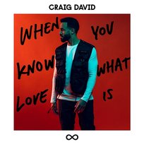When You Know What Love Is Craig David