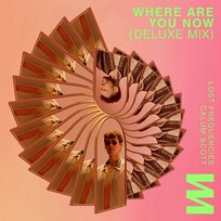 Where Are You Now Calum Scott, Lost Frequencies