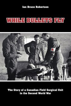 While Bullets Fly - Robertson Ian