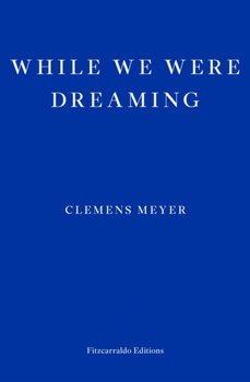 While We Were Dreaming - Clemens Meyer