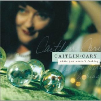 While You Weren't Looking - Caitlin Cary