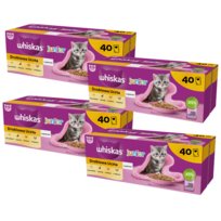 Whiskas Junior Drobiowa Uczta Karma Dla Kociąt W Galaretce 160X85 G