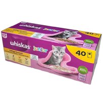 Whiskas Saszetka Junior Drobiowa Uczta w galaretce 40x85g Whiskas