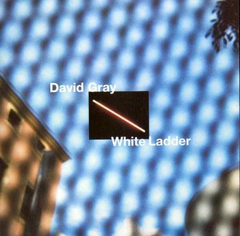 White ladder - Gray David