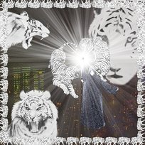 White Tiger 2hollis