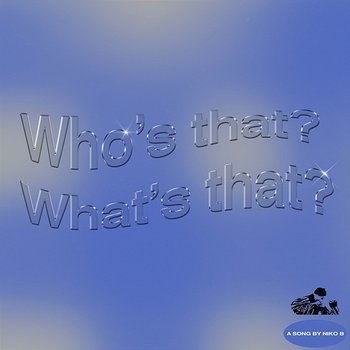 Who's That What's That - Niko B