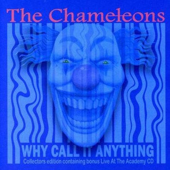 Why Call It Anything, płyta winylowa - The Chameleons