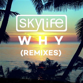 Why - Skylife feat. Summer Rayne