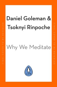 Why We Meditate: 7 Simple Practices for a Calmer Mind - Goleman Daniel