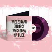 Wieczorami chłopcy wychodzą na ulice. 25 lat miłości w czasach popkultury, płyta winylowa
