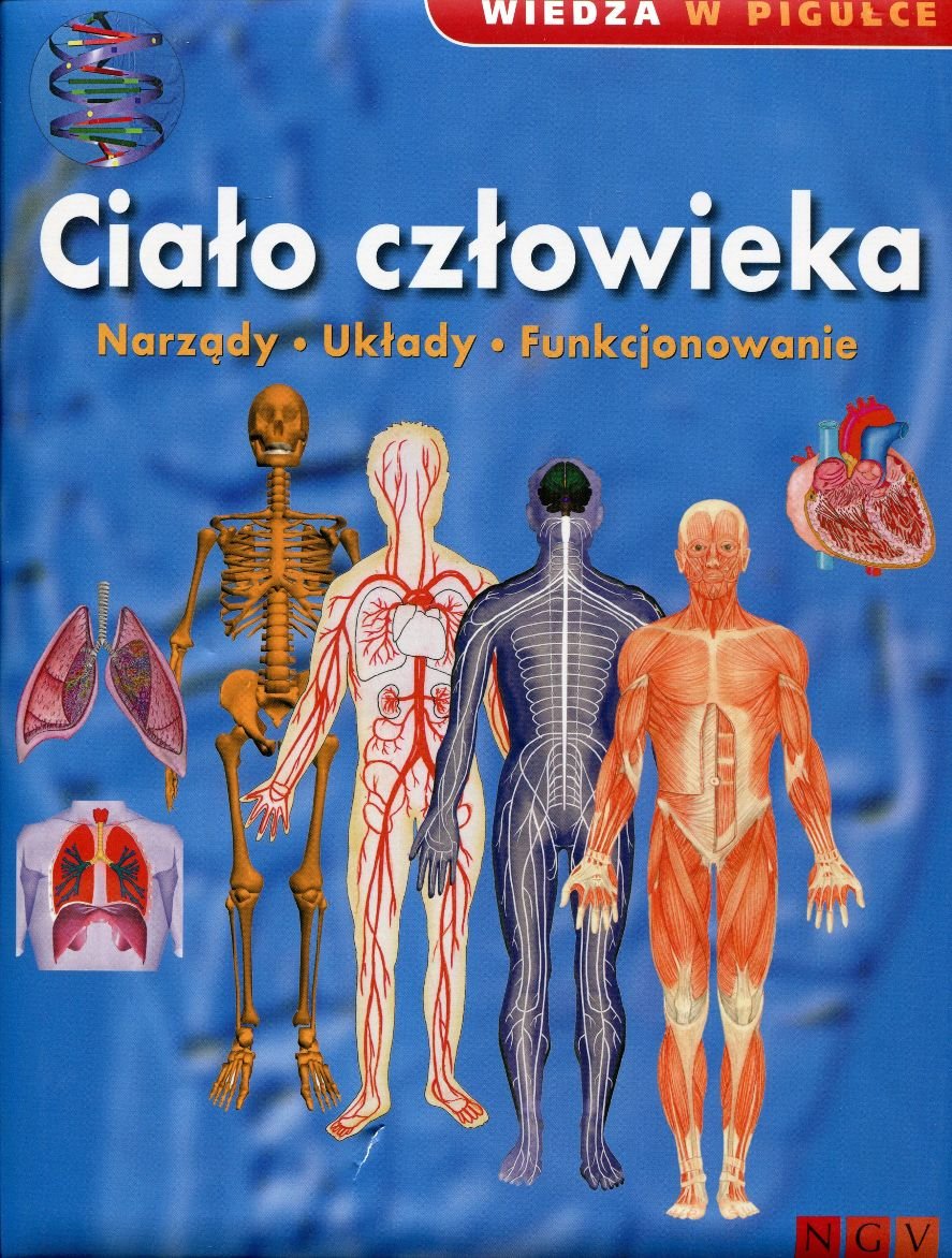Ciało Człowieka Wiedza W Pigułce Przygotowanie Na Sprawdzian Klasa 5