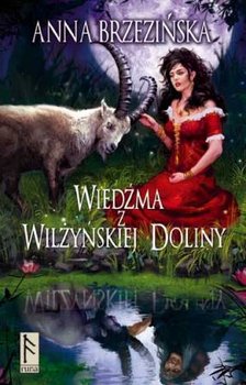 Wiedźma z Wilżyńskiej Doliny - Brzezińska Anna