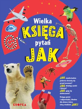 Wielka księga pytań Jak - Symes Sally, Taylor Saranne