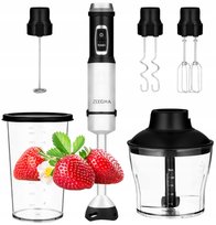 WIELOFUNKCYJNY BLENDER RĘCZNY MIKSER WIELOFUNKCYJNY 5w1 1500W TURBO