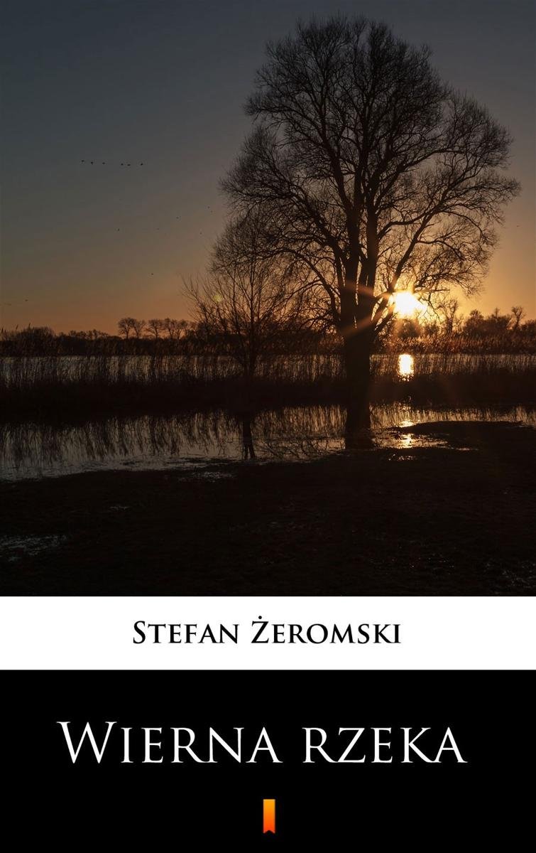 Wierna rzeka - ebook mobi