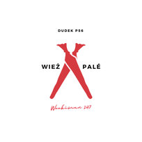 Wieża Pale Dudek P56