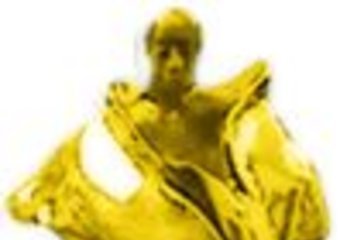 Wiktory 2007 rozdane