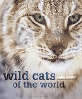 Wild Cats of the World Luke Hunter