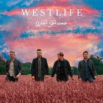 Wild Dreams Westlife