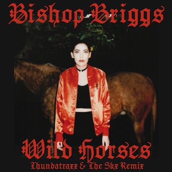 Wild Horses - Bishop Briggs