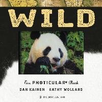 Wild Kainen Dan, Wollard Kathy