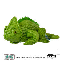 Pluszaki w supercenach