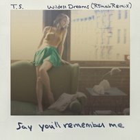 Wildest Dreams Taylor Swift